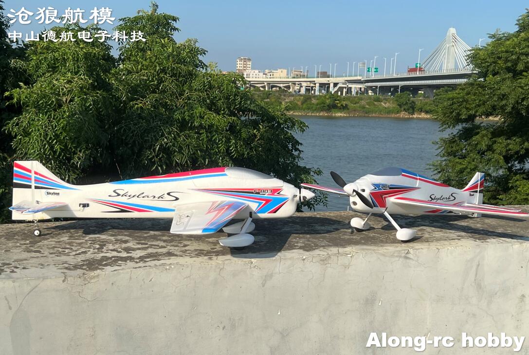 F803  F3A Skylarks 1000mm Wing - Drone Xl Rc review and price